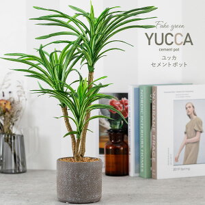 tFCNO[ lH O[Mtg bJ Zg|bg CeA G CeAO[    LO v[g Mtg