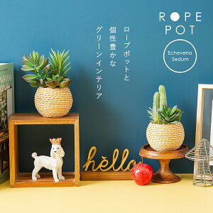 tFCNO[ ϗtA tFCN lHϗtA  ~j   G}  킢  CeA e[u L R C v[g Mtg a ~jϗt A 