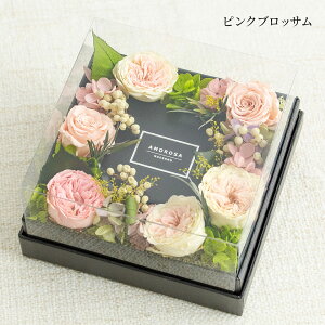 vU[uht[ OAX  [Y AWTC {bNXt[ t[Mtg AWg uU[ht[ ʐ^ vU BOX {bNX uU   LO a v[