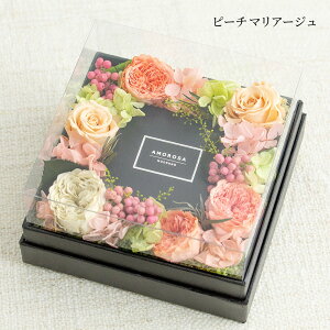 vU[uht[ OAX  [Y AWTC {bNXt[ t[Mtg AWg uU[ht[ ʐ^ vU BOX {bNX uU   LO a v[