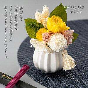 vU[uht[   r  Priere vG[ Zbg  O O   @ @v  ybĝɂ ~ ފ ̉Ԃ hCt