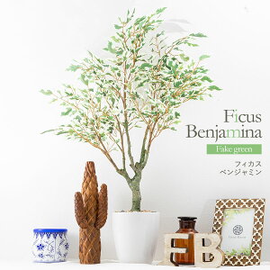 tFCNO[ lHϗtA ^ G}      CeA A j    L R lC C  rO ItBX  Vv ϗt 70cm /