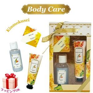 {fBPA MtgZbg LNZC ؍ 3_Zbg nhN[ \[v V[WF Mtg v[g  fB[X lC a  Ԃ j