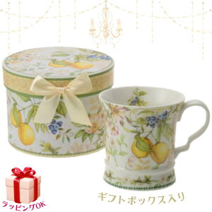 }OJbv  pMtg{bNX R[q[Jbv  Mtg v[g bsO