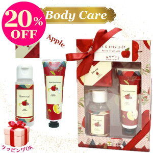 y2820%OFF|Cgő20{Iz{fBPA MtgZbg  3_Zbg nhN[ \[v V[WF Mtg v[g  fB[X lC a  Ԃ j