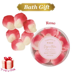  [Y fCYCu[ oXt[y^ bh  Mtg v[g lC bsOΉ a  Ԃ j