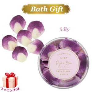  [ oXt[y^ fCYCu[ p[v  Mtg v[g lC bsOΉ a  Ԃ j