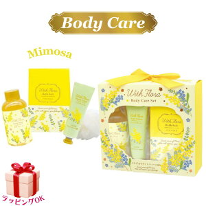 {fBPA MtgZbg ~U 4_Zbg nhN[ {fB\[v oX\g EBYt[ Mtg v[g  fB[X lC a  Ԃ j