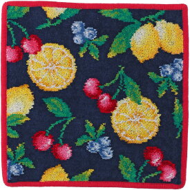 フェイラー ハンカチ 正規品 FEILER 25cm ラフルッタ タオルハンカチ ハンドタオル 高級 海外 ブランド ギフト プレゼント 女性 人気 誕生日 お礼 お返し お祝い