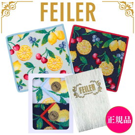 フェイラー ハンカチ 正規品 FEILER 25cm ギフト用 2枚セット ラフルッタ タオルハンカチ ハンドタオル 専用ギフトボックス入り 紙袋 高級 海外 レディース ブランド プレゼント 女性 人気 ギフトラッピング対応 誕生日 お礼 お返し お祝い 贈答品