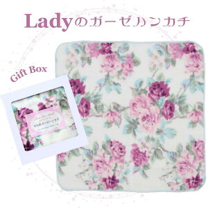 픧 K[[nJ` VF 25cm×25cm { Mtg{bNX l  xr[ Ԃ fB[X Mtg v[g  lC a  Ԃ j mxeB i 