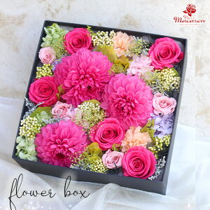 vU[uht[ Mtg lCI{bNXt[ s@g̏jt ̓ _A o v[g ep  a  ސE NX}X v|[Y j j 