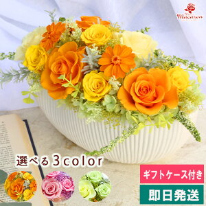 vU[uht[ sjtt j o v[g Mtg ̓ hV̓ a ސEj  LO j JXj JƏj ړ]j ВAC J@j Vz  