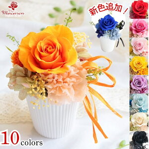 vU[uht[ Mtg s[Y Jbvt ` v[g 3000~    ~j vU[uh[Y ͂Ȃo v[g ΂ ԃMtg aԃv[