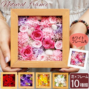 vU[uht[si`t[tAW t[ Ǌ|  v[g ԃMtg t[t[ o {bNX t[{bNX  vU[uht[{