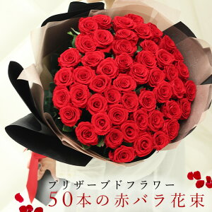 vU[uht[ v|[Y ԑ ԁsi-50{̐ԃoԑ-tԑv[g ỏԑ 50{ u[P ỏԑ50{ KN̉ԑ Ԃo oԑ v|[Y ͂Ȃo 