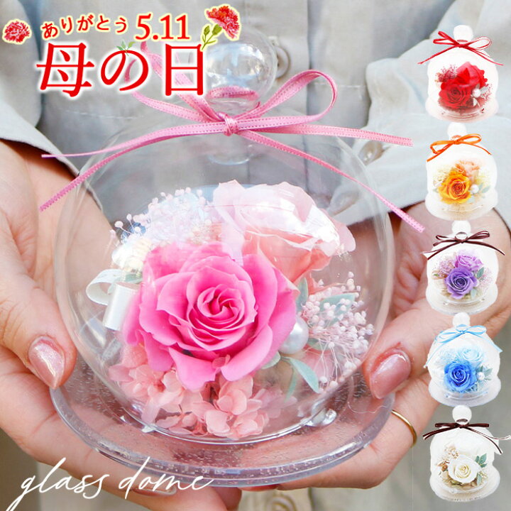 楽天市場】プリザーブドフラワー ドーム《ガラスドーム》ギフト  