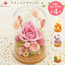 楽天市場】ガラス ドーム ドライフラワーの通販