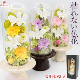 プリザーブドフラワー ガラスドーム 仏花 お供え ドーム 《凛》花 枯れない花 おしゃれ お供え花 お悔み お供え花ギフト お悔み花 プリザーブド仏花 供養 御供え花 お悔やみのお花 命日お供え ペット お悔やみの花 ぶりざーぶどふらわー仏花 枯れない仏花 ブリザードフラワ-