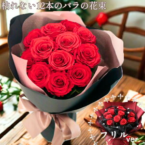 vU[uht[s  t v|[Y ԑ vU[uh[Y _[Y [Y o KN 12{ ỏԑ KN̉ԑ ΂ԑ oԑ ԃo oԉԑ Ȃւ̃v[g  