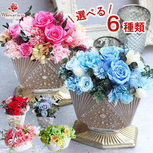 vU[uht[sdream nifty moondaytoAWg  ͂Ȃ v[g Mtg ͂Ȃo vU[uh[Y vU[uht[Mtg vU[uht[o 