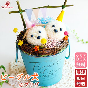 vU[uht[  Ck  r[O s p[eB t   ObY D v[g Mtg 킢 a \  񎟉 җ Ê  j q  j 