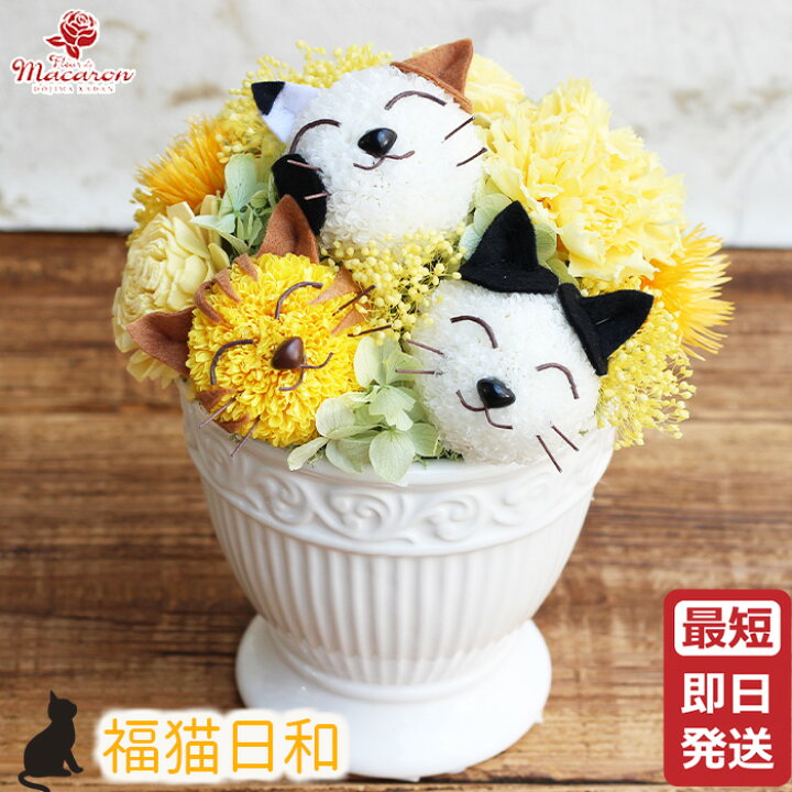 楽天市場】プリザーブドフラワー 猫 《福猫日和》 ねこ フラワー 