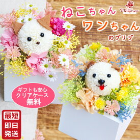 プリザーブドフラワー 誕生日 ギフト いぬ ねこ イヌ ネコ 犬 猫 《ごきげんいぬふわもこねこ》 アニマルフラワー 花 動物 グッズ 犬好き 猫好きに喜ばれる フラワーギフト そのまま飾れる 枯れない花 プレゼント かわいい 発表会 還暦 古希のお祝い 子供 ブリザードフラワ-