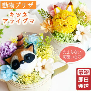 vU[uht[ Mtg Lcl  ACO} 炢 s сt   ObY v[g 킢 a \ җ Ê  j q  