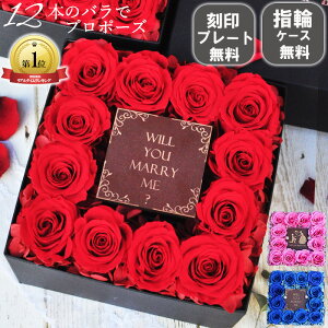 yVLO1ʊlIvU[uht[ v|[Ysňt{bNXt[ o 12{ 11`50{ vU[uh[Y vU[uht[{bNX Ȃւ̒av[g O