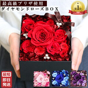 yVLO1ʊlIvU[uht[ v|[Y NX}X o s_Ch[Yto ԃo KN Ԃo 9 Mtg LO Ȃւ̃v[g ɒa