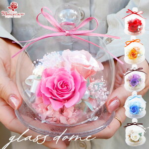 vU[uht[h[ sKXh[t vU[uht[ a h[ v[g Mtg h[^ vU[uht[Mtg ͂Ȃ v[g  킢 