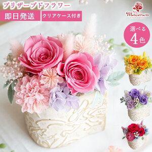 vU[uht[sԂtԃMtg t[Mtg ~jTCY     ͂Ȃo ͂Ȃ aԃv[g ` c ΂ җ Ê  P