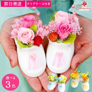 vU[uht[ Mtg oYj Yx lCNo.1slittlet  ͂Ȃ v[g q Ԃ Dw    j uU[ht[ Yxj YxO oYO }^jeBM