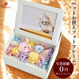 《虹の花》 ペットお供え花プリザーブドフラワー ペットお供え プリザーブドフラワー フォトフレーム 仏花 お供え 写真立て 写真 犬 猫 お悔み 贈り物 ギフト 花 ブリザードフラワ- ネコ いぬ ねこ ブリザーブド 枯れない花 ペット用 御供 写真入り 造花 バラ あじさい