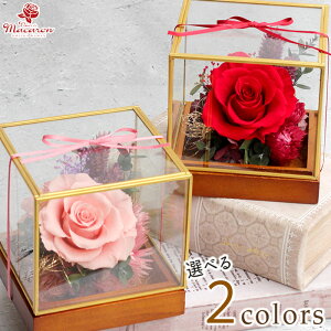 ̓ vU[uht[ s[YL[ut KXh[ h[ o 1 a  ސE j LO v|[Y ꂳ ` v[g Mtg ͂Ȃ  vU