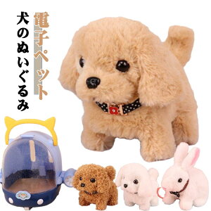  ʂ {bg ̂ʂ dߋ e dqybg ETM b 񂿂  킢  ybg  Mtg  3 4 ̎q j̎q qp ybg^