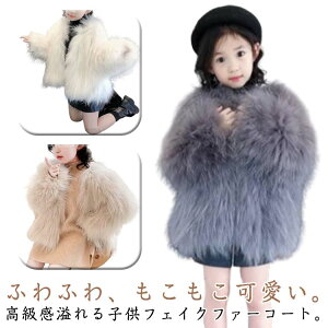 h t@[R[g t@[ tFCNt@[ WPbg LbY t@[WPbg H~ ̎q GRt@  H t@[WPbg ǂ ̎q y g q ӂӂ  