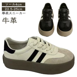 V[Y U ̎q w {v ₷ {v Xj[J[  C v ^C K fB[X ʋ ʊw X|[c ɂȂ ₷ Ȃ AEghA y 炩 C