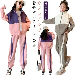 _Xߑ WjA JWA ZbgAbv ̎q Wbp[t LbY ㉺2_Zbg tH ㉺2_Zbg ~ XEFbg W[W K[Y g[i[ X|[cEFA  Cws 