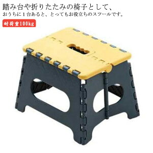 r Xebv LbY ֎q Xc[ ݑ ܂肽 `FA ܂  RpNg  y Xebv`FA ω׏d100kg q XebvXc[ Ƒ gC Lb` y 