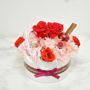 vU[uht[ t[P[L J[Fbh p{bNXt t[Mtg  j 蕨 v[g ̓ aj ސEj zj Vzj JX J j 