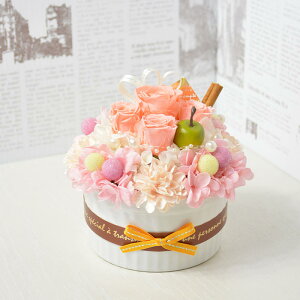 vU[uht[ t[P[L FANNIE PEACH t[Mtg aj j LO zj Vzj  v[g 蕨 ̓ җ Ê Ď P  Ύ J J