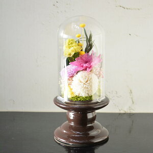 vU[uht[ vU[uht[ ԔT ފ d  ybg  uU[ht[ 蕨 ~