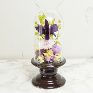 vU[uht[  dp i݂сjފ  ybg  uU[ht[ 蕨 ~