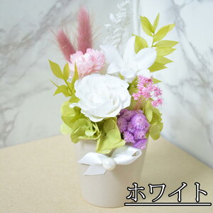 vU[uht[    ފ d  ybg  uU[ht[