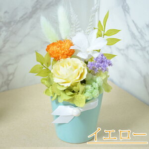 vU[uht[    ފ d  ybg  uU[ht[