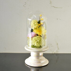 vU[uht[ vU[uht[ z ފ d  ybg  uU[ht[ 蕨