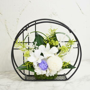  avU[uht[ D  d @  ybg  uU[ht[ 蕨