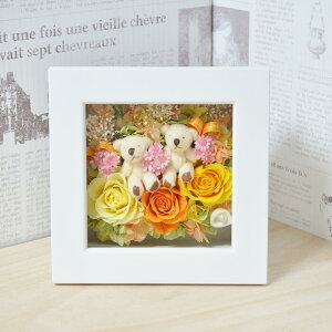  蕨 vU[uht[ xAt[ t[Mtg j  w 蕨 v[g ̓ a ސE z Vzj JX J